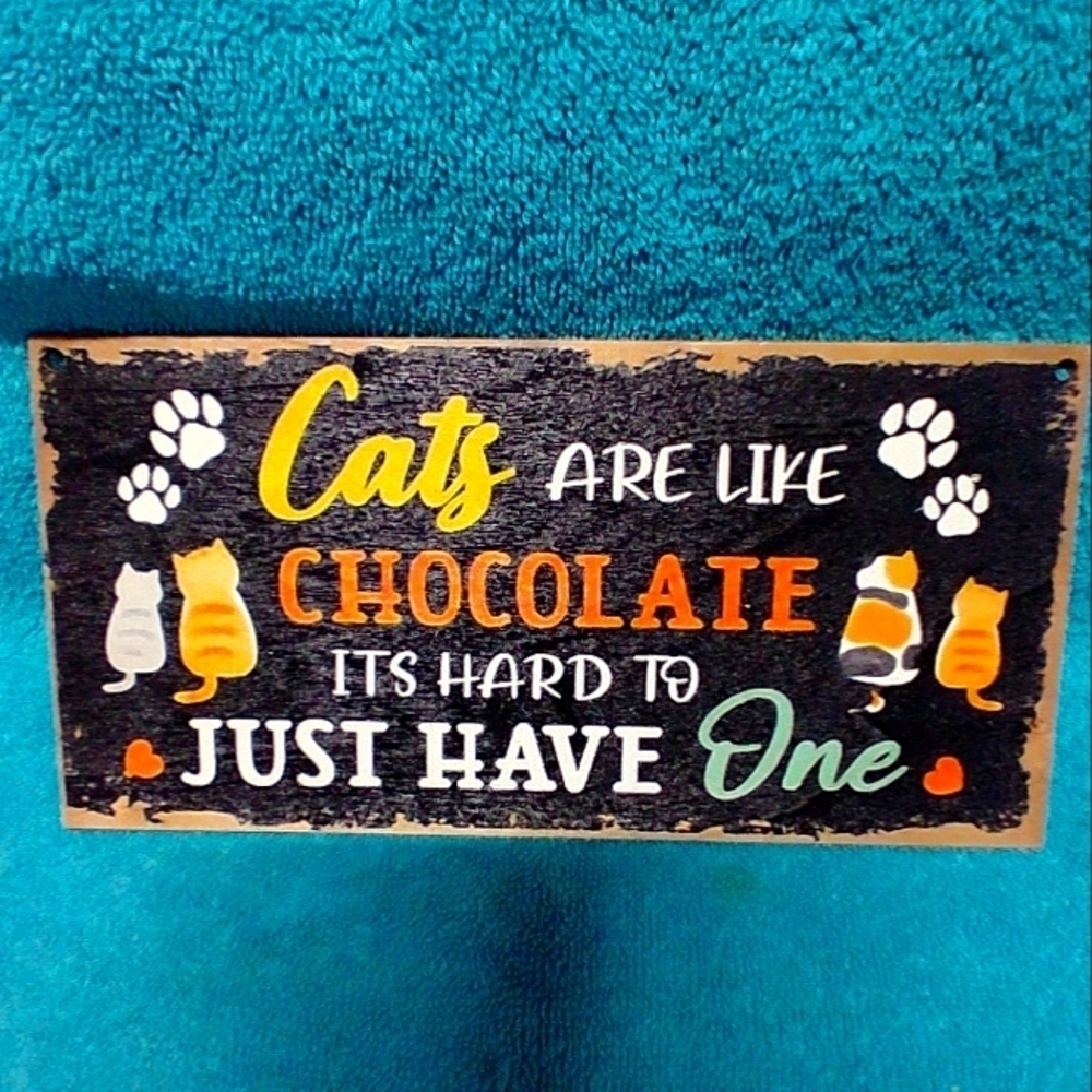 Decorative Cat Sign with Colorful Design Funny Humorous Wood